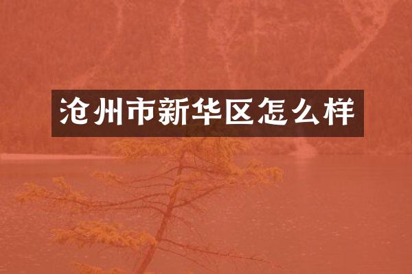 沧州市新华区怎么样