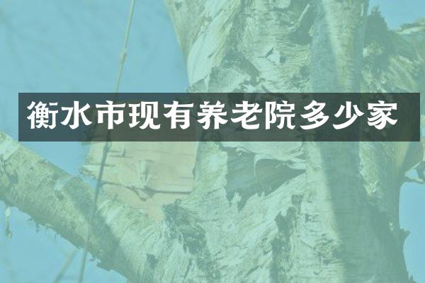 衡水市现有养老院多少家