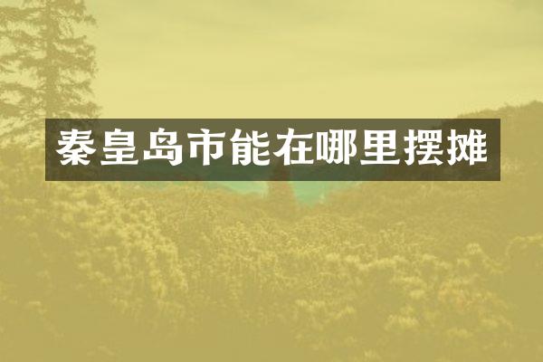 秦皇岛市能在哪里摆摊