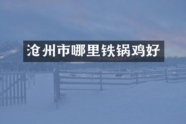 沧州市哪里铁锅鸡好