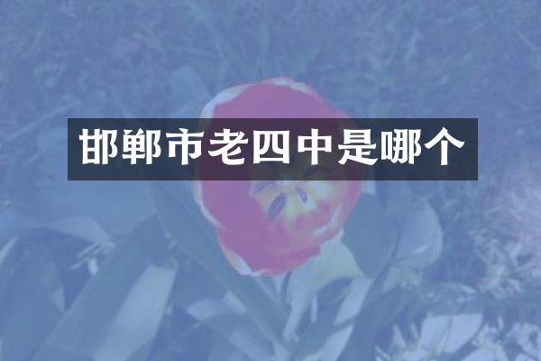 邯郸市老四中是哪个