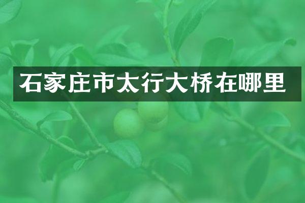 石家庄市太行大桥在哪里