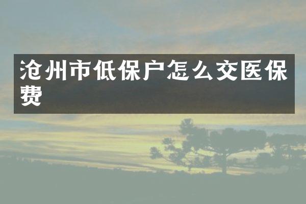 沧州市低保户怎么交医保费