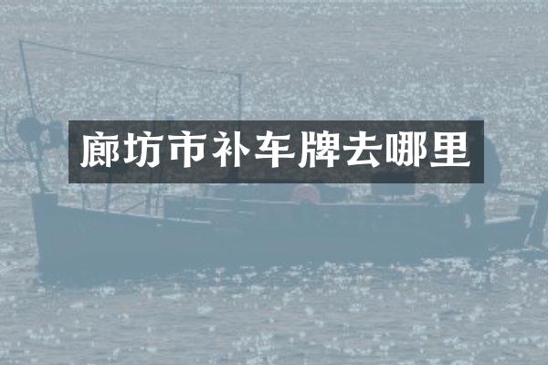 廊坊市补车牌去哪里