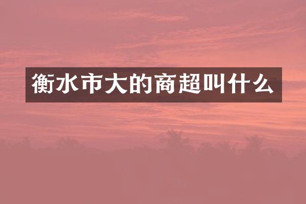 衡水市大的商超叫什么