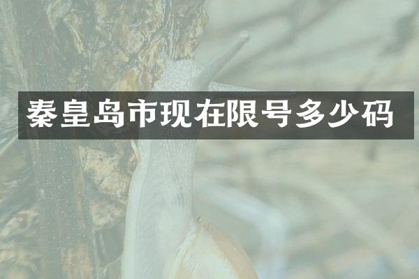 秦皇岛市现在限号多少码