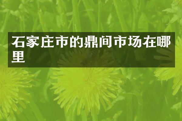 石家庄市的鼎间市场在哪里