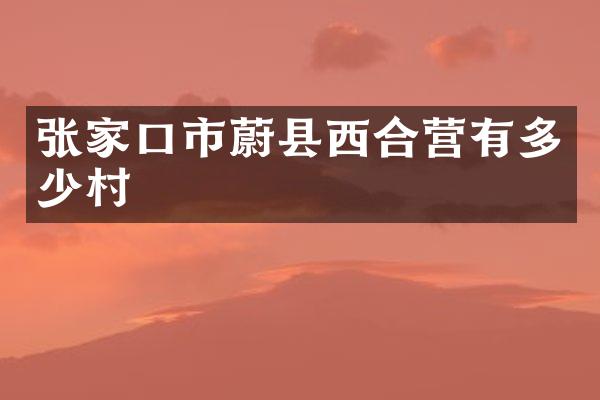 张家口市蔚县西合营有多少村
