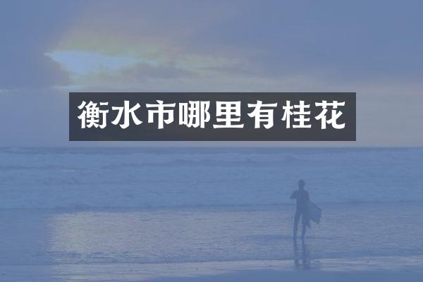 衡水市哪里有桂花